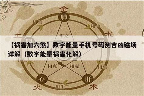 祸害加六煞|六煞加祸害磁场